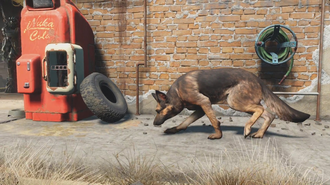 Fallout 4 пропадает собака фото 114