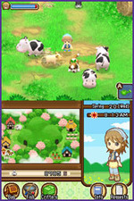 Harvest Moon: The Tale of Two Towns