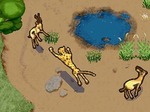 SimAnimals Africa