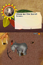 Safari Adventures Africa