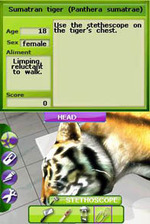 Zoo Vet: Endangered Animals