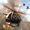 Убийцу Battlefield шутер Crowz для Steam предлагают получить бесплатно и навсегда