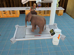 Pet Vet 3D: Wild Animal Hospital