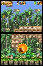 DK: Jungle Climber