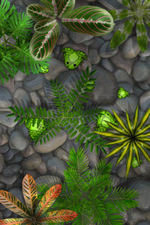 Pocket Frogs