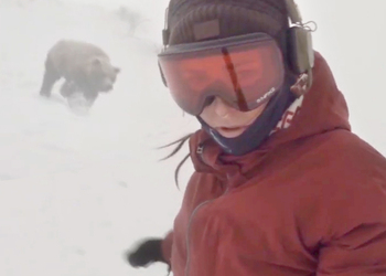 Девушка случайно сняла на видео бегущего за ней огромного медведя