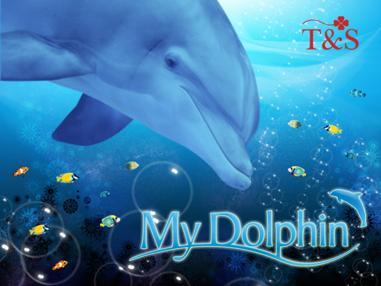 My Dolphin.