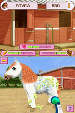 Petz Pony Beauty Pageant