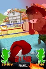 Animal Boxing