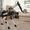 Boston Dynamics показала реалистичного собакоподобного робота, приносящего пиво хозяину