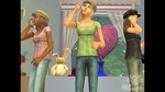 The Sims 2: Teen Style Stuff