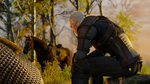 The Witcher 3: Wild Hunt