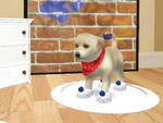 Petz: Dogz 2