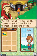 Harvest Moon: The Tale of Two Towns