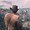 Red Dead Redemption 3 датой выхода разочаровал фанатов