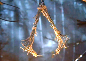 Ассасина Ведьмака в лесу показали в Assassin's Creed: Hexe