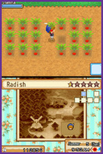 Harvest Moon: Grand Bazaar