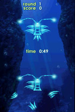 Zenses: Ocean