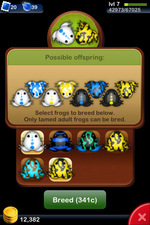 Pocket Frogs