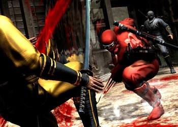 В сети появилась информация о мультиплеере в игре Ninja Gaiden 3
