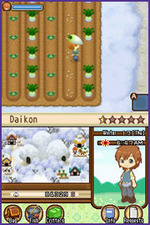 Harvest Moon: The Tale of Two Towns