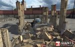 Demolition Company
