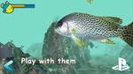 Reef Aquarium