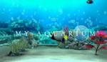 My Aquarium