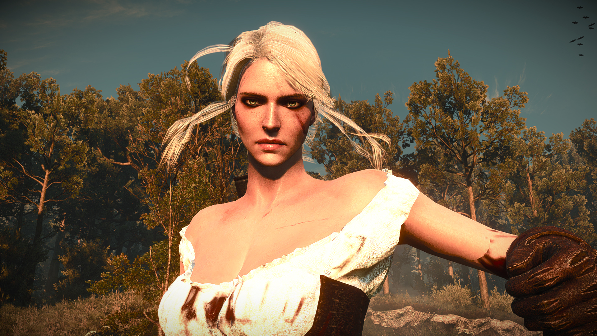 The witcher 3 ciri face фото 36