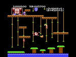 Donkey Kong Jr.