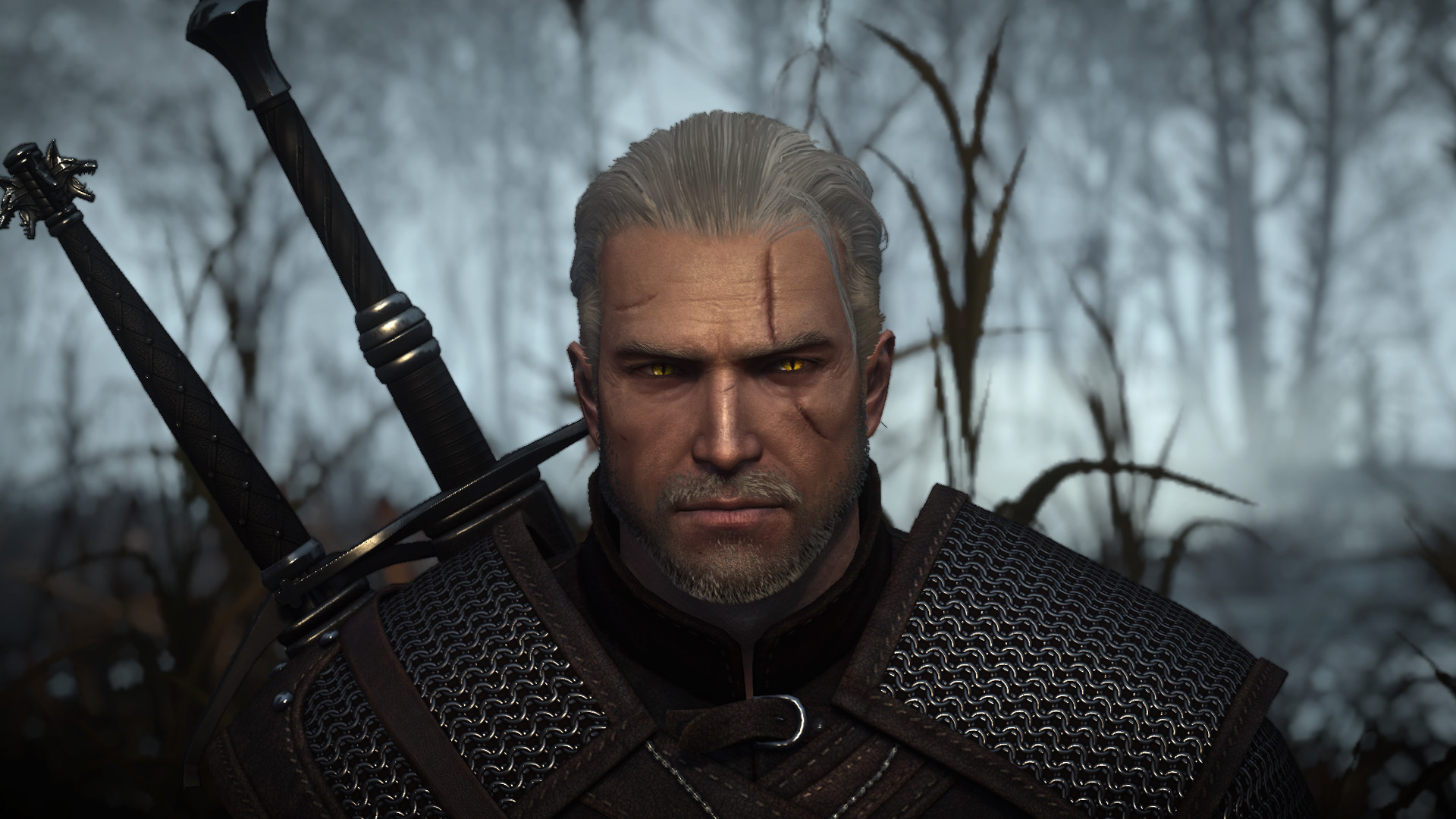 The witcher 3 geralt фото 52