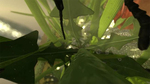 Ant Simulator