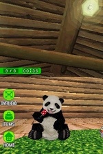 National Geographic Panda