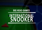 International Snooker