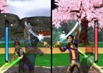 Swords