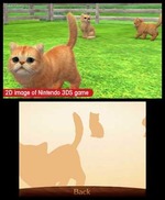 Nintendogs &amp; Cats