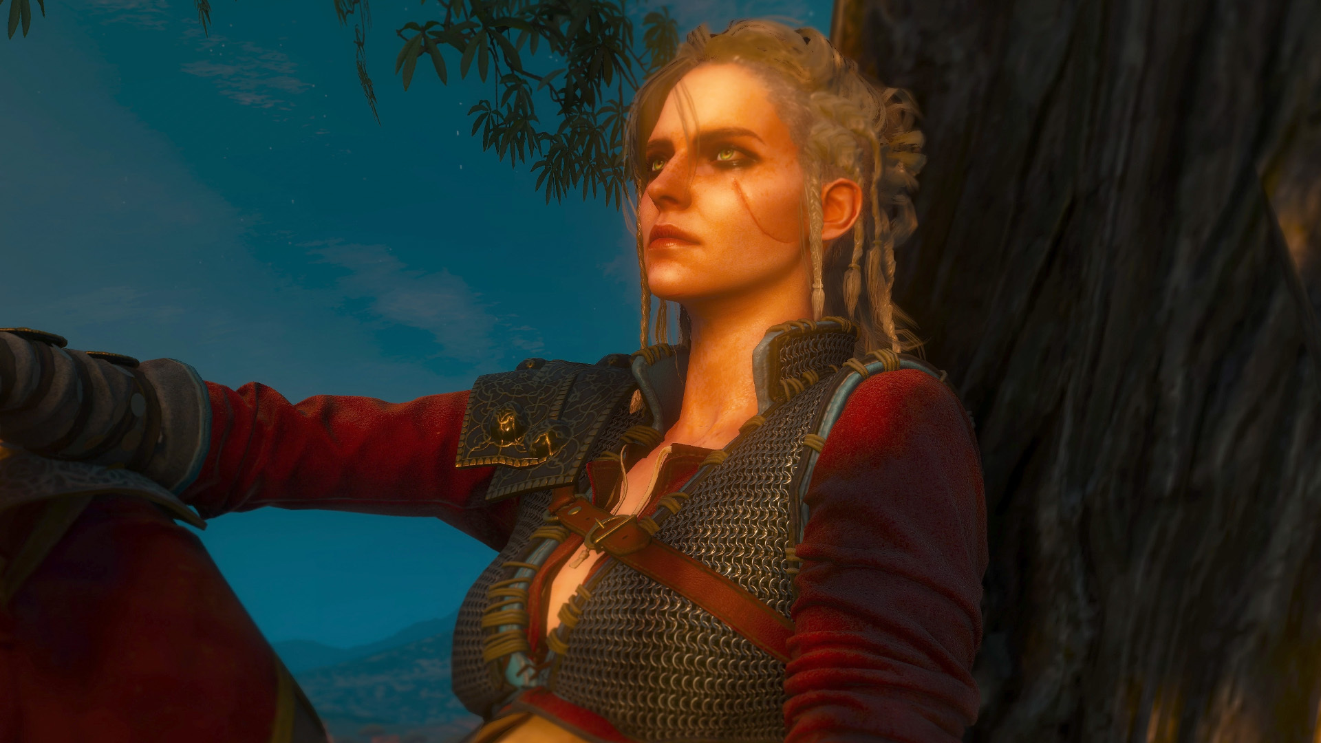 The witcher 3 ciri face фото 45