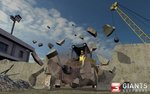 Demolition Company
