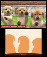 Nintendogs &amp; Cats