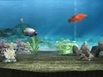 My Aquarium