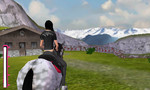 Horse Life 4