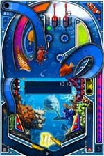 Crazy Pinball