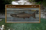 Reel Fishing Challenge