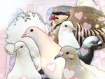 Hatoful Boyfriend: A School of Hope and White Wings