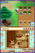 Harvest Moon: Grand Bazaar