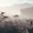 Ремастер Morrowind на новом движке показали