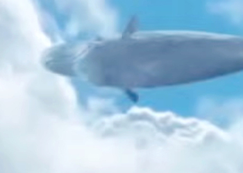 В The Witcher 3: Wild Hunt нашли падающего с неба кита