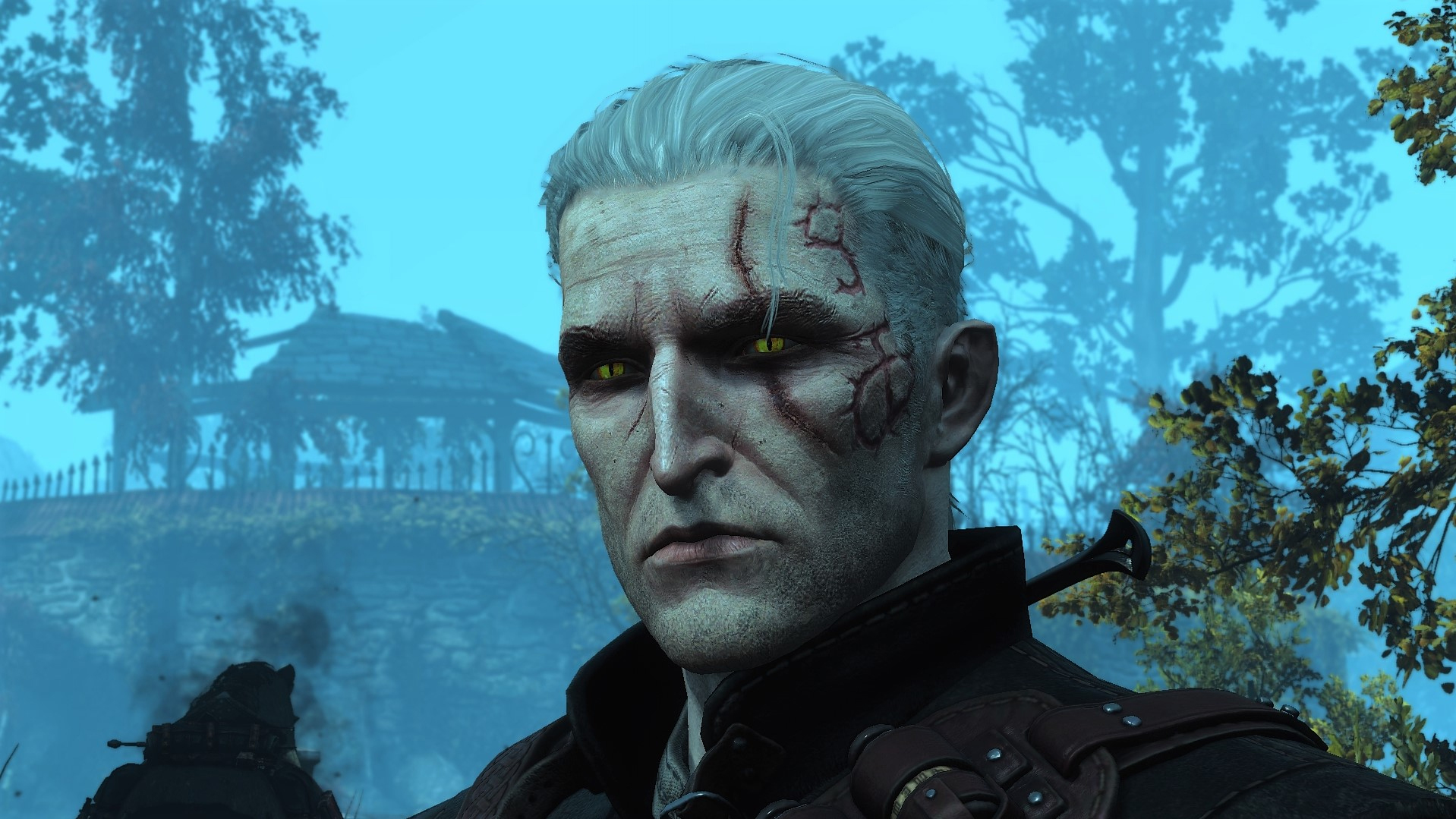 The witcher 3 geralt face фото 117