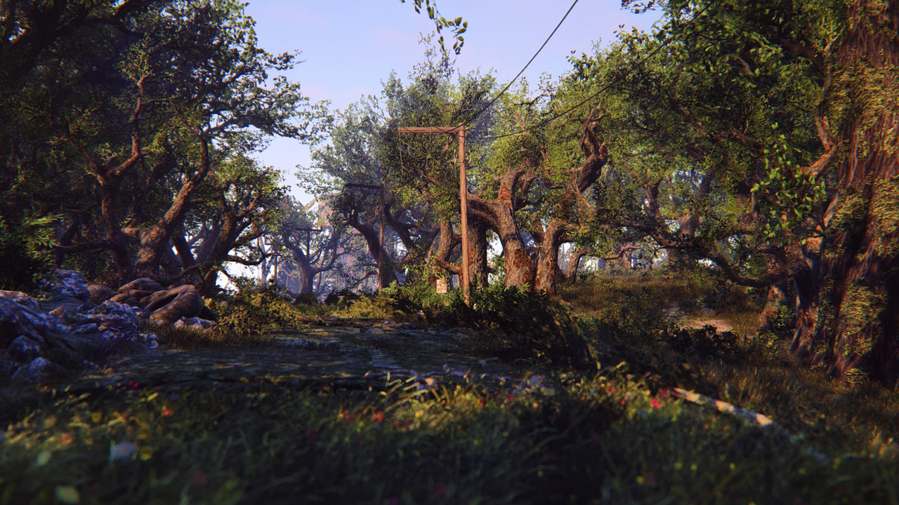 Fallout 4 деревья и трава фото 93