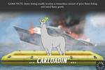 Llamas With Hats: Cruise Catastrophe